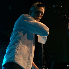 20043_7185