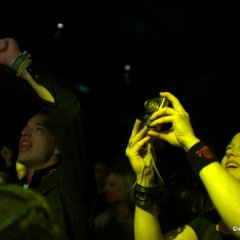 20043_7195