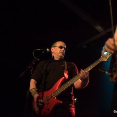 20049_8870